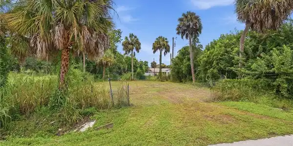 Image 3: Expansive lot featuring mature palm trees and lush perimeter foliage