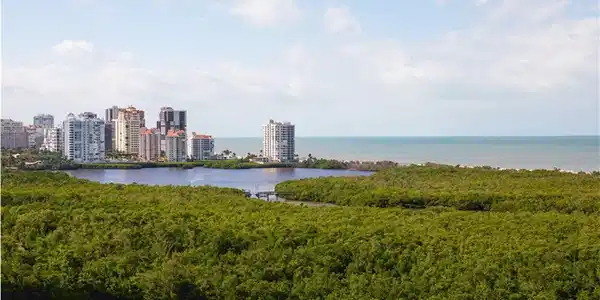 6101 Pelican Bay BLVD