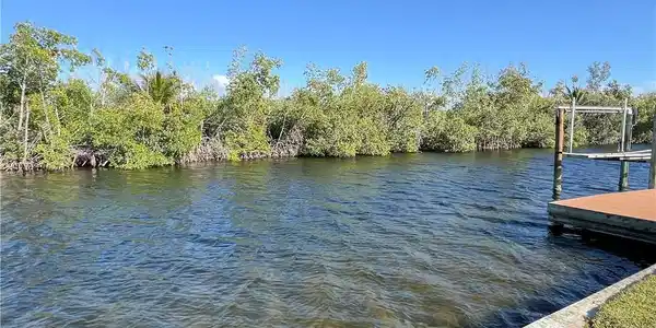 Image 3: Canal and Preserve View