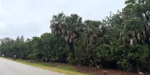 Image 4: View of asphalt street