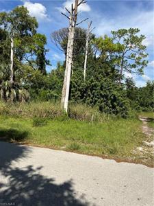 3592 Quails WALK