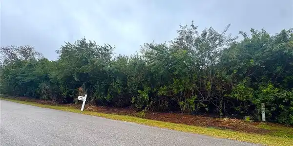 Image 3: View of asphalt road