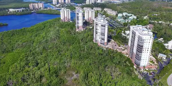 455 Cove Tower DR
