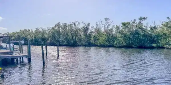 11761 Isle Of Palms DR