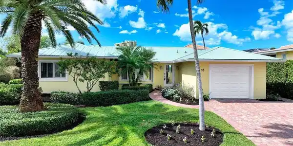 16 Buttercup CT