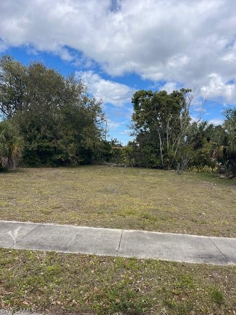 Image 2: View of grassy yard