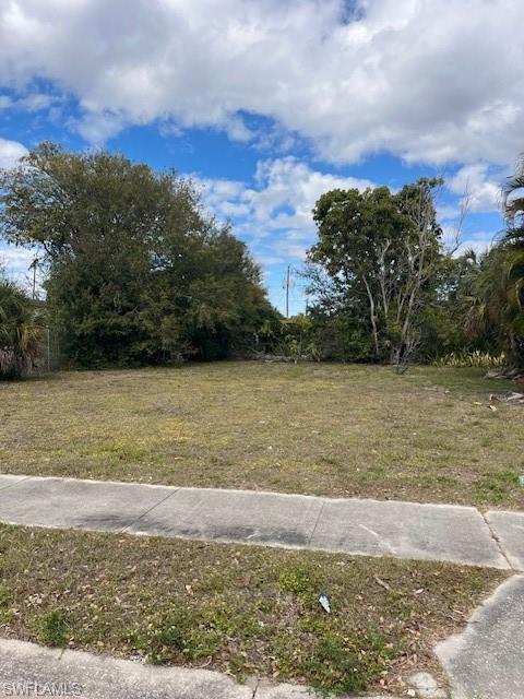 Image 3: View of yard