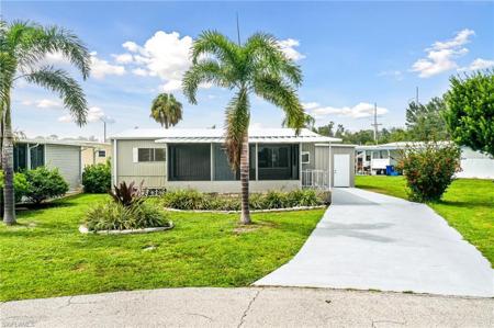 521 Pine Tree CT