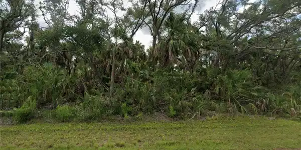 Image 3: View of nature