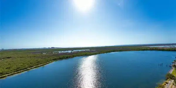 Image 2: WOW_view