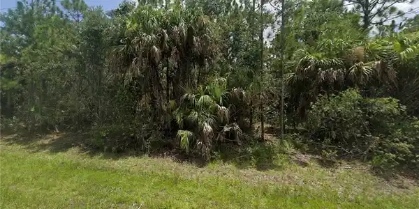 Image 3: View of nature