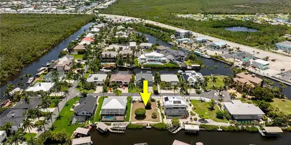 17921 Grey Heron CT