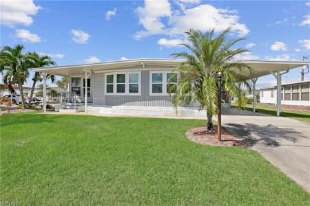511 Pine Tree CT