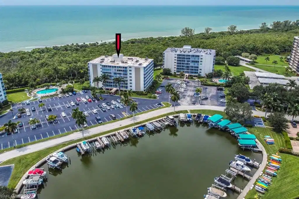 Image 1: 3 Bluebill plus Marina
