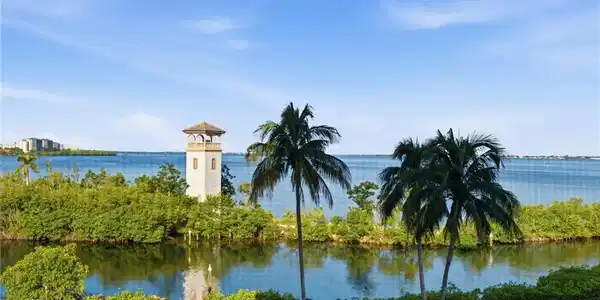 Image 4: Expansive water frontage with lush natural landscaping and mature palm trees