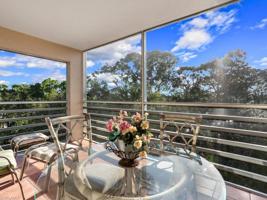15161 Cedarwood