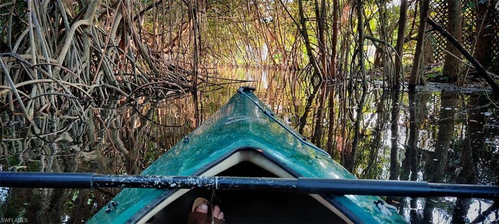 Image 4: Approach to rear of lot by Kayak