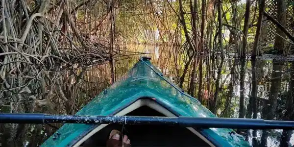 Image 4: Approach to rear of lot by Kayak