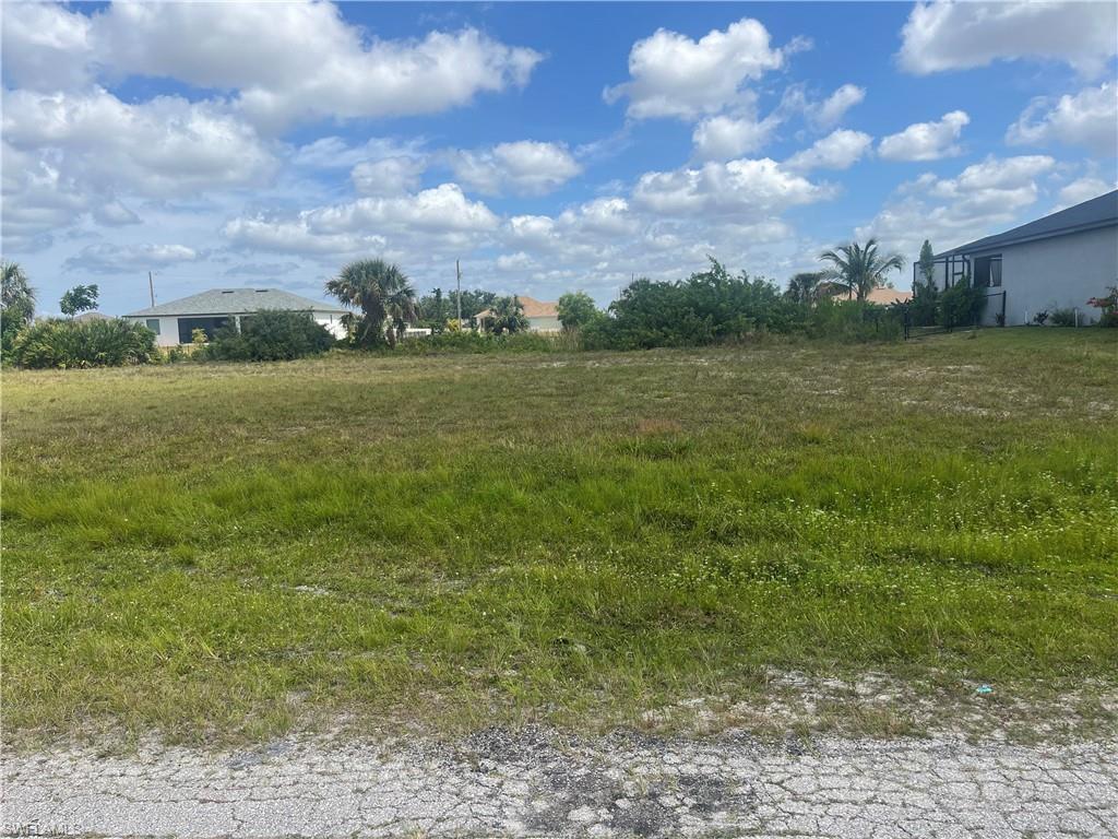Image 2: View of yard