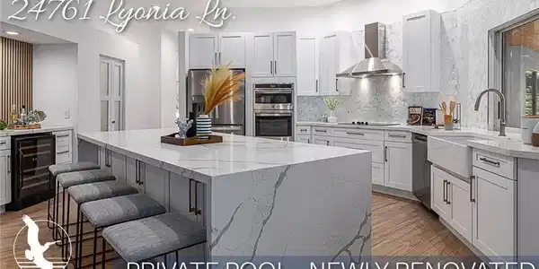 24761 Lyonia LN