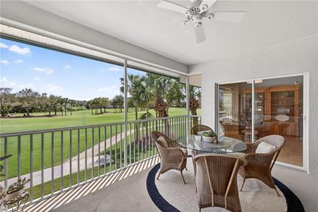 24619 Ivory Cane DR
