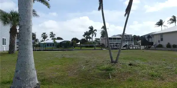 Image 3: View of community