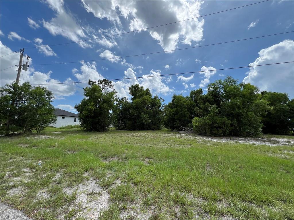 Image 1: View of yard