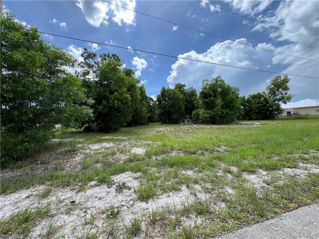 Image 3: View of yard