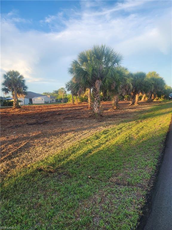 Image 4: View of yard