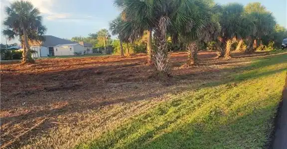 Image 4: View of yard