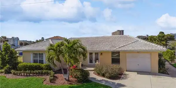 40 Buttercup CT