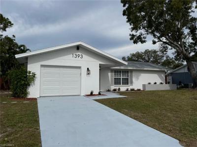 1393 White Cedar LN