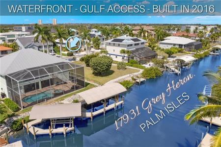 17931 Grey Heron CT