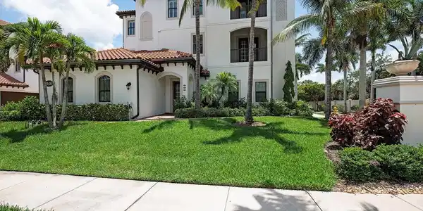 24481 Terzetto LN