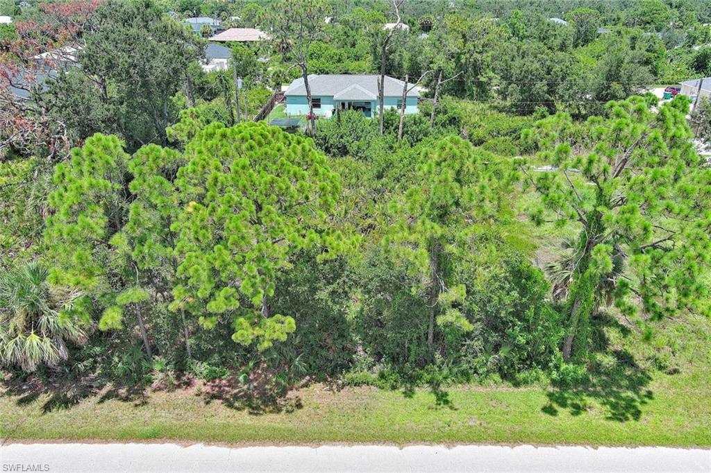 Image 4: Aerial view of property and surrounding area featuring a forest