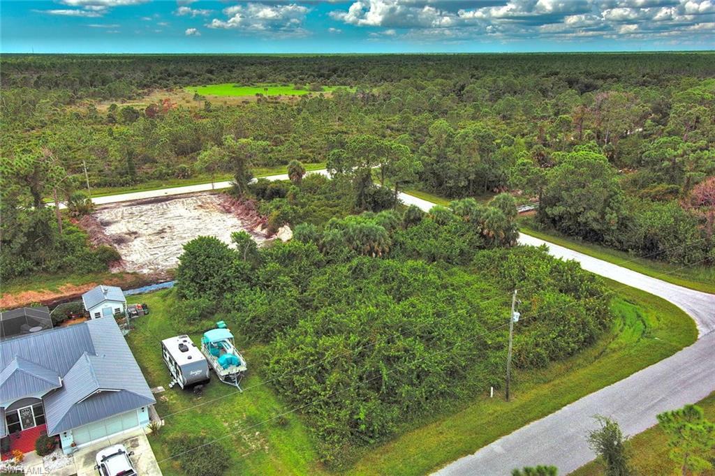 Image 4: Aerial view of a forest