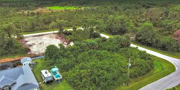 Image 4: Aerial view of a forest