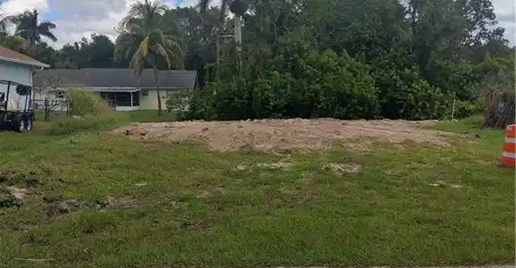 Image 2: View of yard