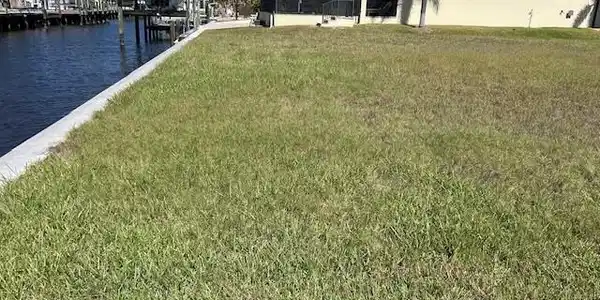 Image 2: View of green lawn featuring a water view and a lanai