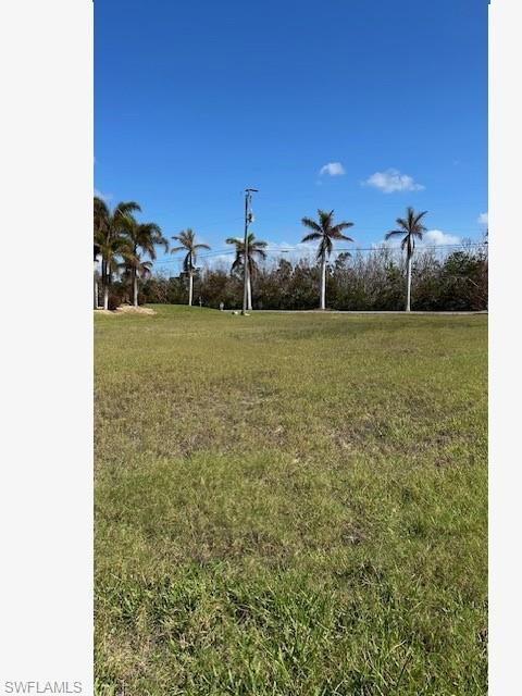 Image 3: View of green lawn