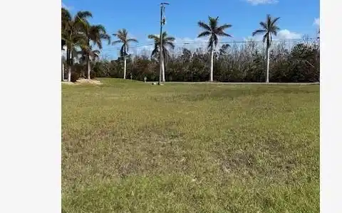 Image 3: View of green lawn
