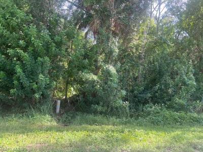 0000 Pine Tree DR