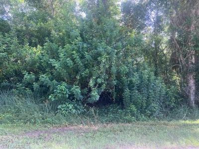 #23 Pine Tree DR