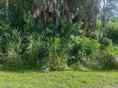 xxx Pine Tree DR