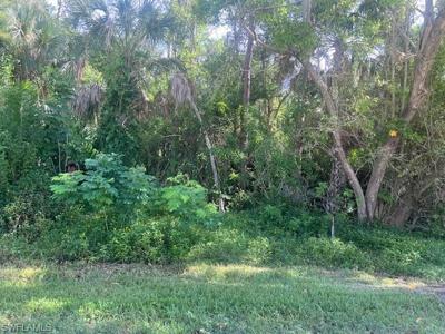 xxx Pine Tree DR