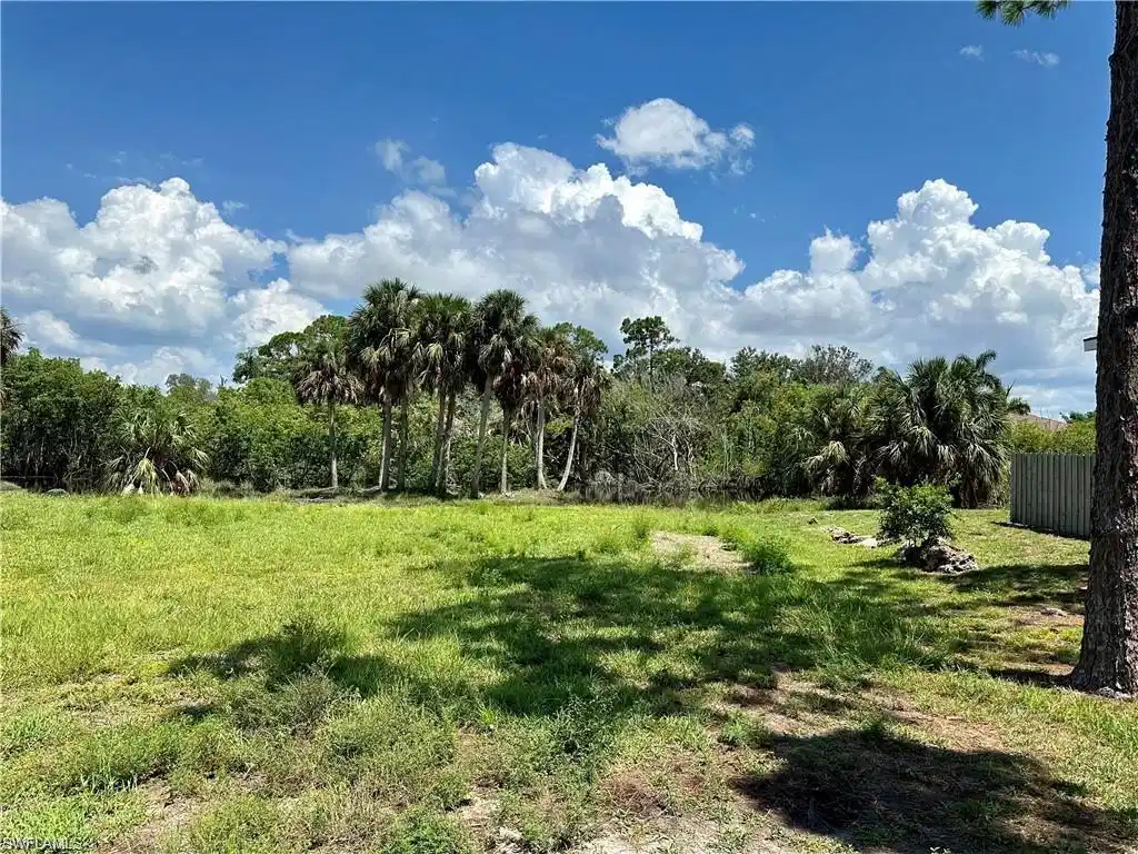 Image 1: Cleared Land