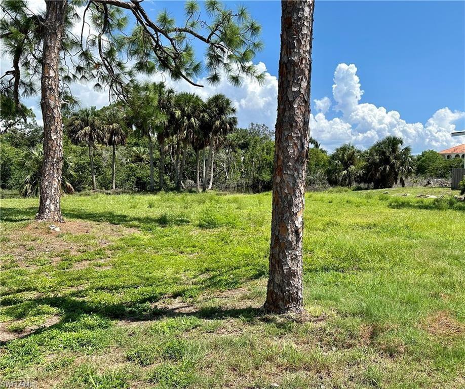 Image 2: Lot image