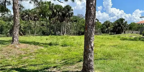 Image 2: Lot image