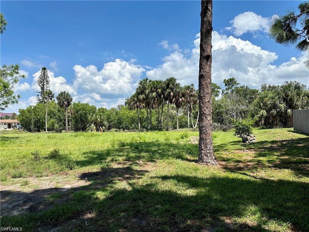 Image 3: Another view of the land
