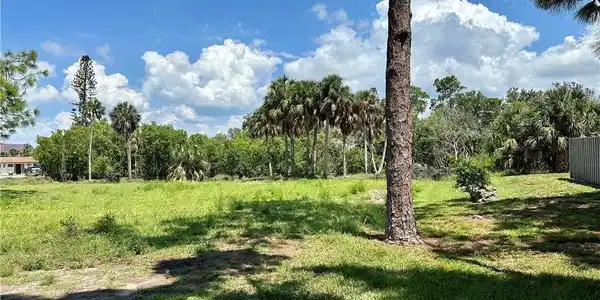 Image 3: Another view of the land